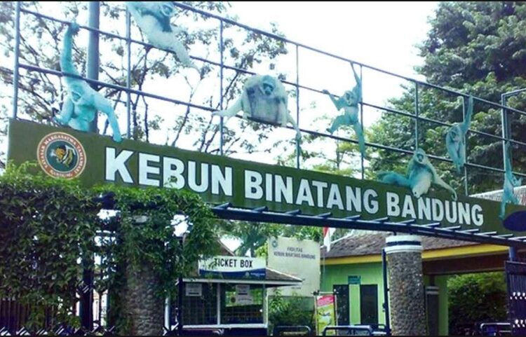 Waspada, Isu Kebun Binatang Bandung Akan Jadi Hotel, Bakal Timbulkan Kemarahan Budaya