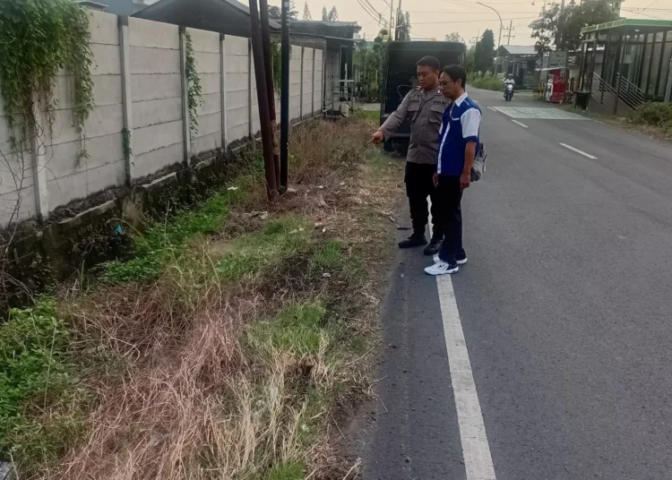 Gresik tewas (istimewa)