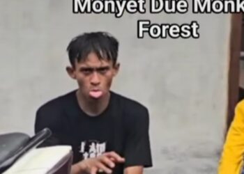 Viral! Video Pria Bertingkah Seperti Monyet Usai Diduga Lakukan Kekerasan Pada 2 Ekor Monyet di Monkey Forest Ubud