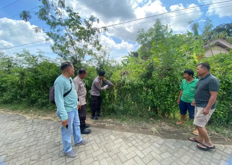 Tulungagung tewas (Istimewa)