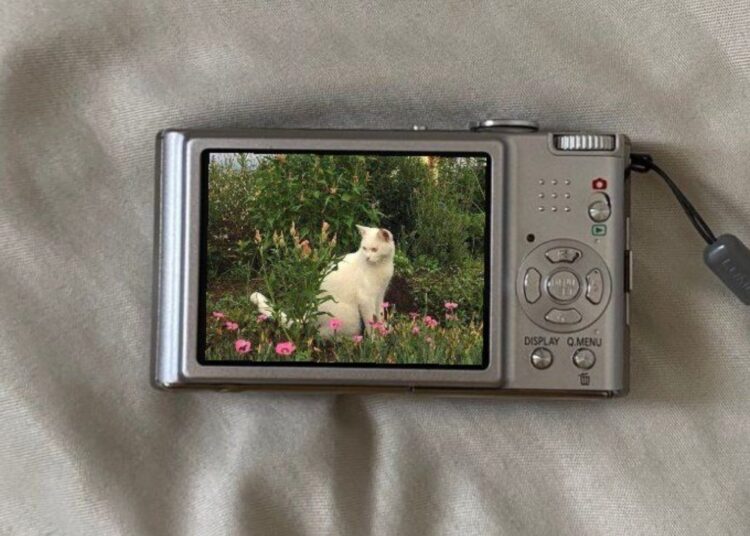 Tempat Sewa Kamera atau Lensa di Bandung buat Konten Gen Z