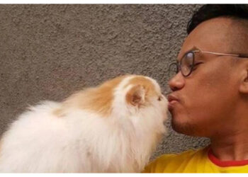 Amarah Publik Memuncak, Kediaman Uya Kuya Dijarah Massa