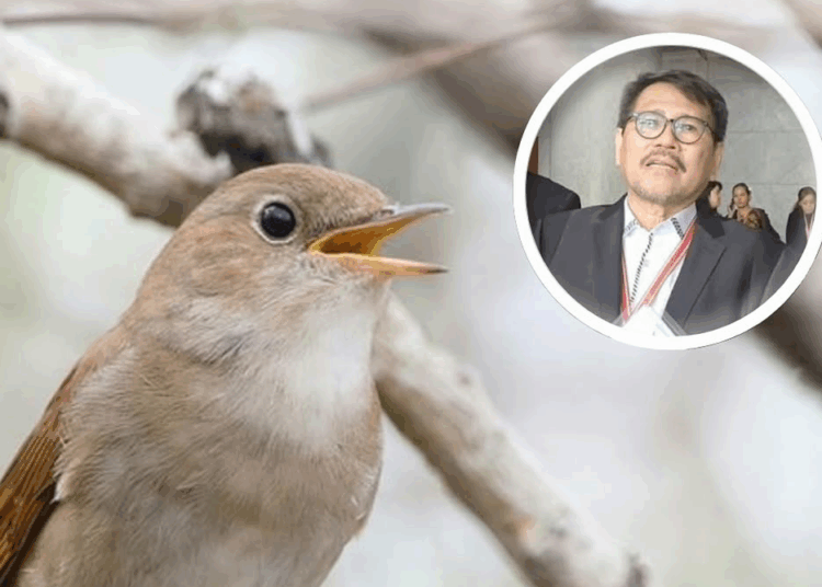 Kafe dan Restoran Ganti Musik dengan Suara Alam Tetap Kena Royalti