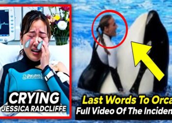 Viral-Jessica-Radcliffe-Tewas-Dimakan-Orca-,-Ini-Fakta-Aslinya