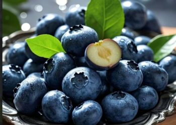 5 Buah-Buahan yang Bermanfaat bagi Kesehatan Mata, Ini Rincianya