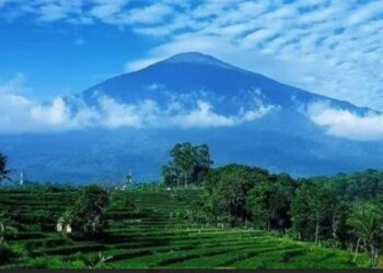 Anggota DPR RI dari PKB Hj Rina Sa’adah Bahas Kebakaran Hutan di Kuningan