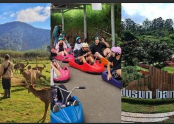 Info Lengkap Destinasi Wisata di Bandung: Dusun Bambu, Noah’s Park & Ranca Upas