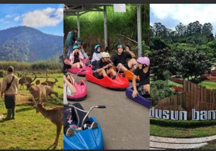 Info Lengkap Destinasi Wisata di Bandung: Dusun Bambu, Noah’s Park & Ranca Upas