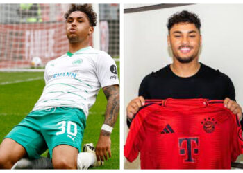 Mainz 05 Andalkan Armindo Sieb di Laga Berat Kontra Borussia Dortmund