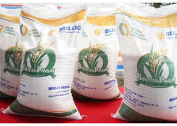 Bantuan Pangan 10 Kg Beras Bakal Dilengkapi Minyak 2 Liter, DPR dan Menkeu Sepakat