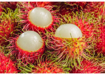 Tak Hanya Segar, Rambutan Punya 7 Manfaat Kesehatan yang Luar Biasa!