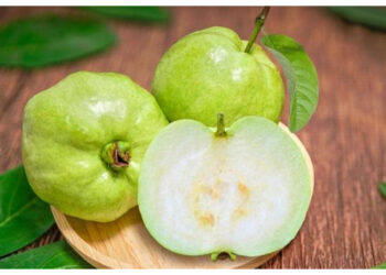 Buah Kecil, Manfaat Besar! Manfaat Jambu Kristal untuk Imunitas hingga Jantung Sehat