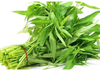 Sayur Antioksidan, Kenali Khasiat Kangkung untuk Tubuh dan Sistem Kekebalan