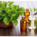 Minyak Peppermint, Solusi Alami untuk Sakit Kepala, IBS dan Flu