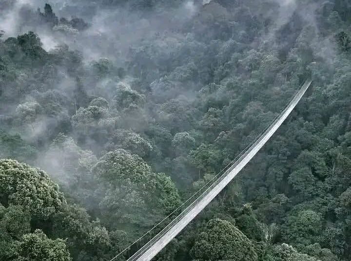 Keren! Jembatan Gantung Situ Gunung Sukabumi Terpanjang di Asia Tenggara