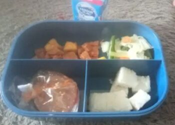 Ada Menu MBG untuk Balita, Busui dan Bumil di Cinunuk Diduga Basi dan Bau, Ini Penjelasan Kades