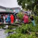 Puluhan Pohon Tumbang Diamuk Angin Puting Beliung di Kuningan