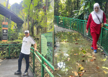 Sentil Kondisi Forest Walk Babakan Siliwangi, H. Untung : Kurang Terawat Karena SDM Kebersihan Kurang