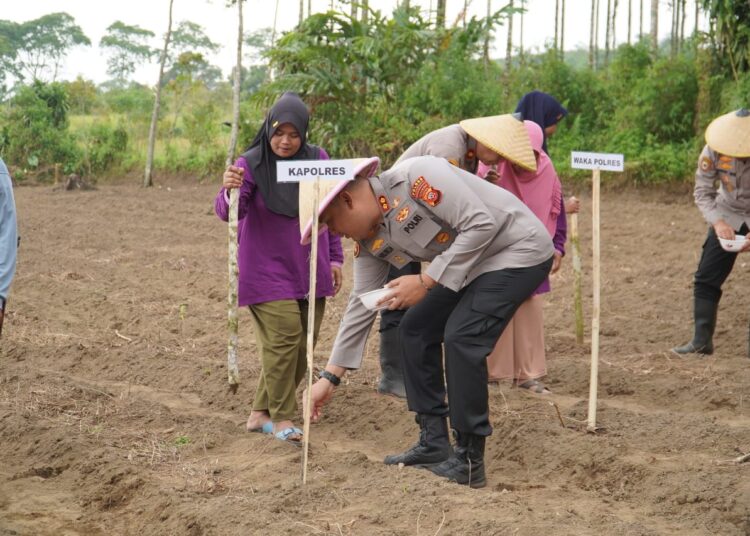 Semangat Ketahanan Pangan, Kapolres Tasikmalaya Ajak Warga Tanam Jagung