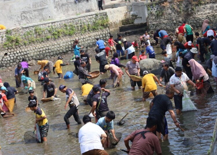 Ngobeng Ikan di Kolam Situ Cimalongpong, Pasca Panen Kembali Ditebar 10 Ribu Ikan