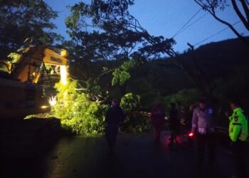Pohon Tumbang di Jalan Lingkar Nagreg Timpa Motor,  Lalin Sempat Ditutup