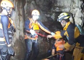 Pemburu Kelelawar di Temukan Tewas, Ternyata Penyebabnya Ini…