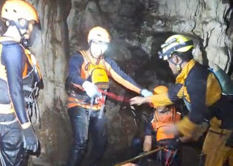 Pemburu Kelelawar di Temukan Tewas, Ternyata Penyebabnya Ini…