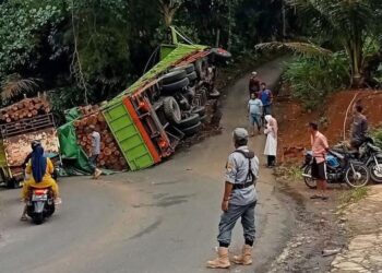 Tak Kuat Menanjak, Truk Fuso Pengangkut Kayu Glondongan Terguling