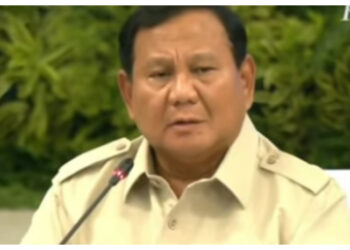 DPR Ingatkan Risiko Lingkungan dalam Wacana Swasembada Energi Papua