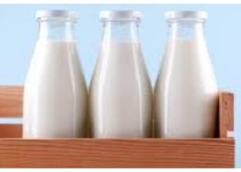 Tetap Bernutrisi Saat Diet, Rahasia Susu Skim untuk Tubuh Ideal dan Bugar