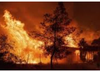 Kaleidoskop 2025: Awal Tahun yang Membara di Los Angeles