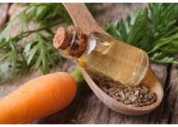 Tak Sekadar Minyak Esensial, Ini Keunggulan Minyak Biji Wortel