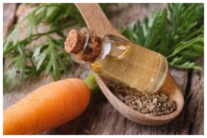 Tak Sekadar Minyak Esensial, Ini Keunggulan Minyak Biji Wortel