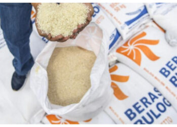 Proyeksi Produksi Beras 2026 Meningkat, Pemerintah Optimalkan Serapan Awal Tahun