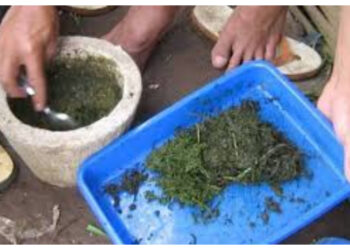 Label Organik Bukan Jaminan Aman, Waspadai Residu Pestisida