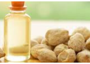 Mau Kulit Glowing dan Sehat? Gunakan Minyak Ini!