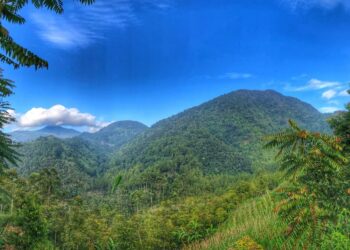 Gunung Tambakruyung, Destinasi Pendakian Menantang di Ciwidey