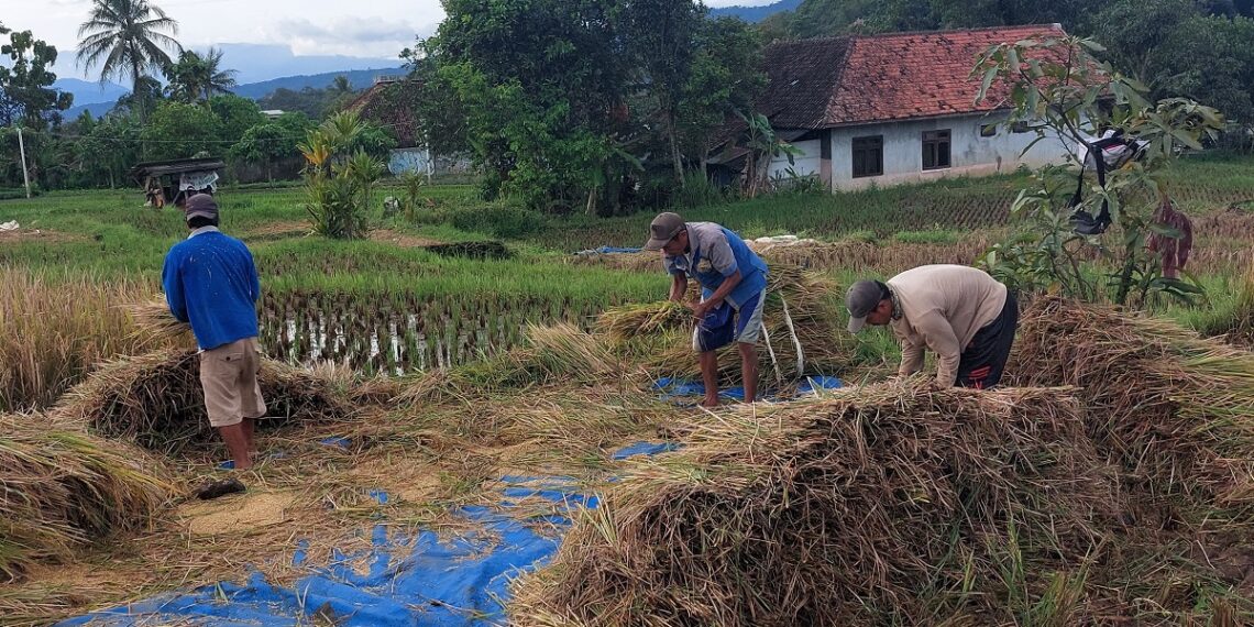 Peringkat Kemiskinan Kab. Kuningan Turun Jadi ke-3 se-Jabar