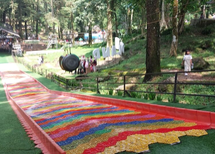 Liburan Nataru di Woodland Kuningan: Wisata Alam Bernuansa Hutan Pinus