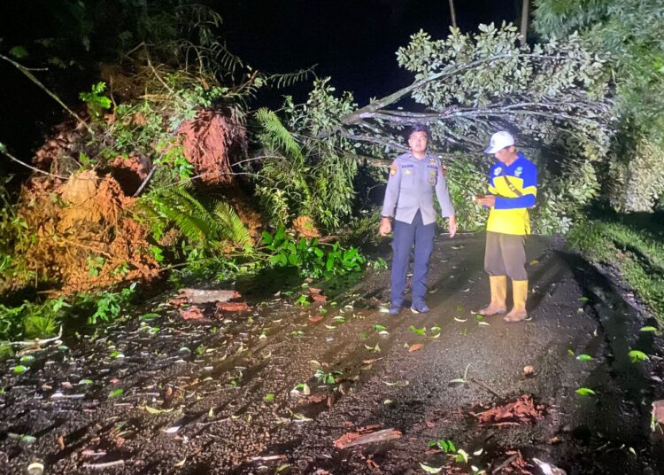 Tanah Longsor Tutup Badan Jalan Raya Ciparay Mekarwangi