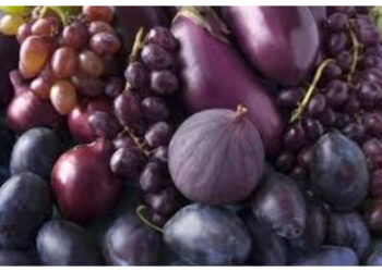 Rahasia Sehat Buah Ungu yang Kaya Antioksidan Alami