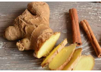 Selain Obat Dokter, Ini Bahan Alami yang Diyakini Bantu Kontrol Diabetes