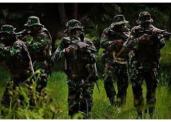 DPR Minta Pembinaan Mental Prajurit TNI Diperkuat