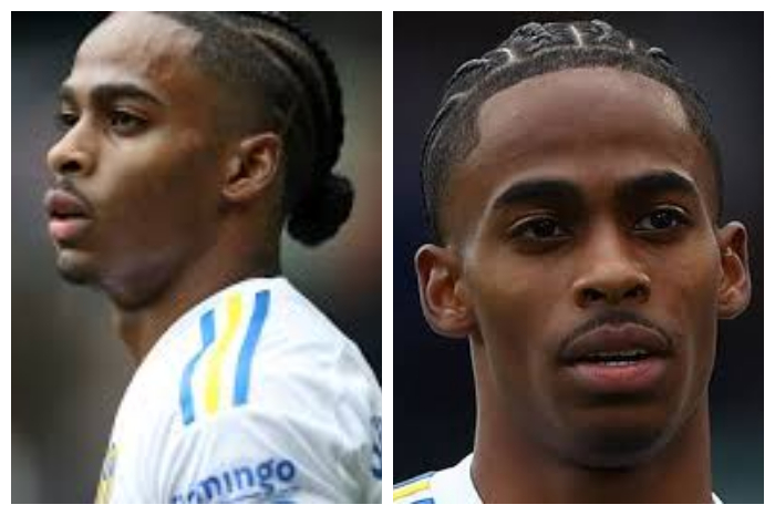 Tottenham Bidik Crysencio Summerville Jelang Penutupan Bursa Januari