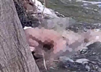 Warga Temukan Muhammad Zaidan Dalam Keadaan Meninggal Dunia Tersangkut Bebatuan