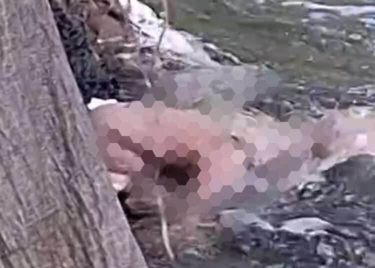 Warga Temukan Muhammad Zaidan Dalam Keadaan Meninggal Dunia Tersangkut Bebatuan