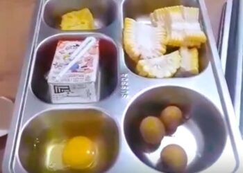 Viral, Ini Perbedaan Mencolok Gaji Pekerja SPPG/MBG dengan Perangkat Desa dan Guru Honorer