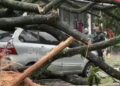 Mobil dan Motor Tertimpa Pohon Tumbang di Kota Baru Parahyangan, Dua Orang Luka Berat
