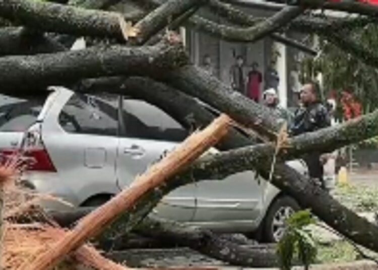 Mobil dan Motor Tertimpa Pohon Tumbang di Kota Baru Parahyangan, Dua Orang Luka Berat