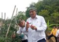 Program MBG: Dorong Pengembangan Pertanian Bungursari